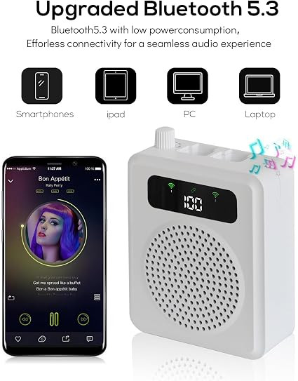 آمپلی فایر صوتی بیسیم Wireless Voice Amplifier R11