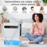رطوبت گیر مدل airtok dehumidifier cs3